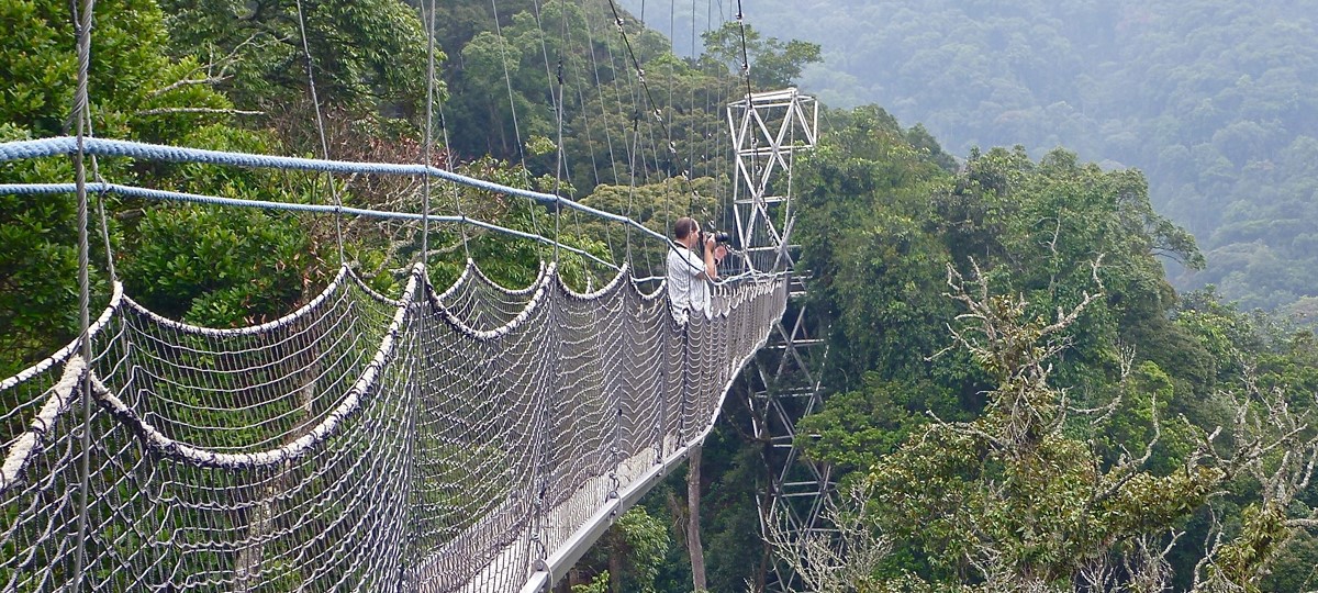 Nyungwe Forest National Park